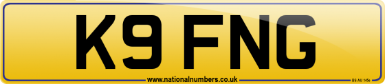 K9 FNG