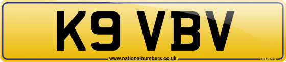 K9 VBV