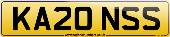 KA20 NSS