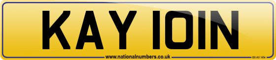 KAY 101N