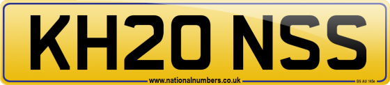 KH20 NSS