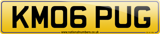 KM06 PUG