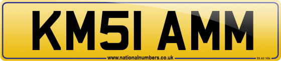 KM51 AMM