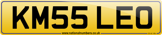 KM55 LEO