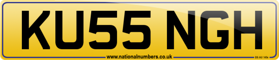 KU55 NGH