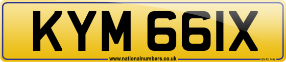 KYM 661X