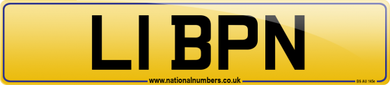 L1 BPN