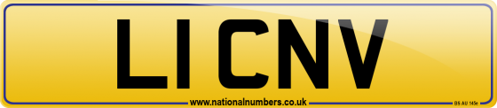 L1 CNV