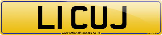 L1 CUJ