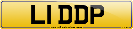 L1 DDP