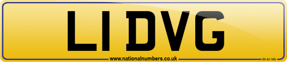 L1 DVG