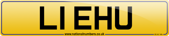 L1 EHU