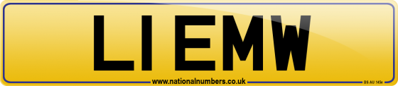L1 EMW