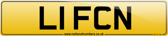 L1 FCN