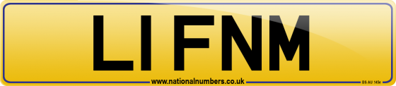 L1 FNM