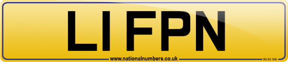 L1 FPN