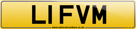 L1 FVM