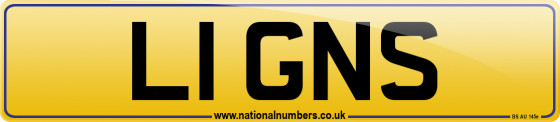L1 GNS