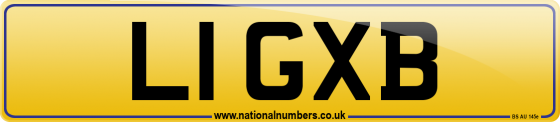 L1 GXB