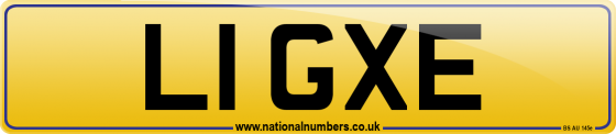 L1 GXE