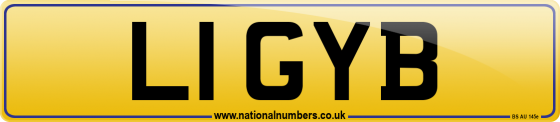 L1 GYB