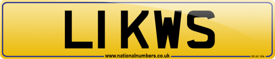 L1 KWS