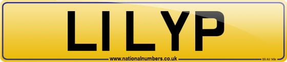 L1 LYP