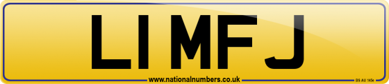 L1 MFJ