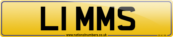 L1 MMS