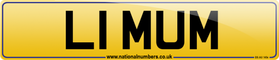 L1 MUM