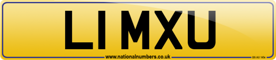 L1 MXU