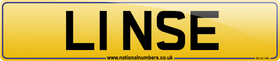 L1 NSE