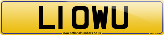 L1 OWU