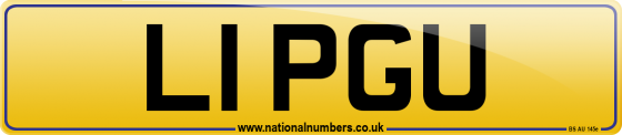 L1 PGU