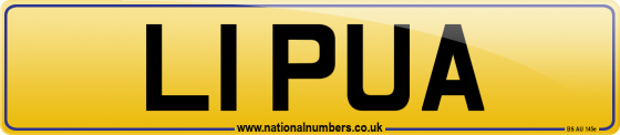 L1 PUA