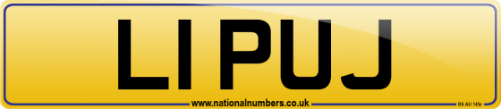 L1 PUJ