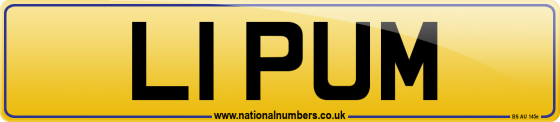 L1 PUM