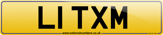 L1 TXM