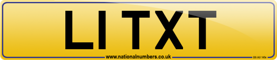 L1 TXT