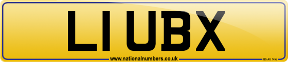L1 UBX