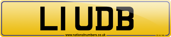 L1 UDB