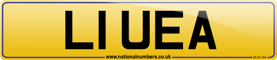 L1 UEA