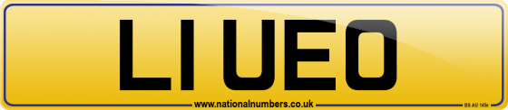 L1 UEO