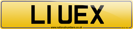 L1 UEX