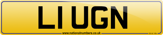 L1 UGN
