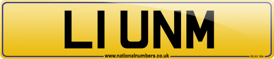 L1 UNM