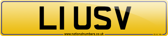 L1 USV
