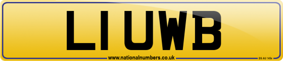 L1 UWB