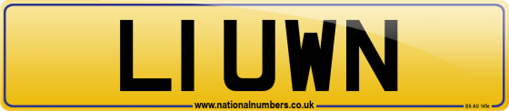 L1 UWN