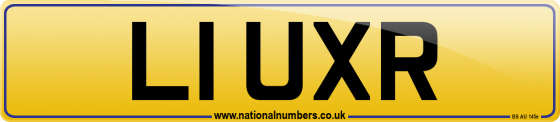 L1 UXR